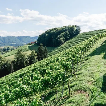 Weingut Sternat Vlg. Schmalzpeter بيت للعطل *