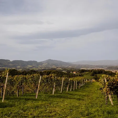 Weingut Sternat Vlg. Schmalzpeter بيت للعطل
