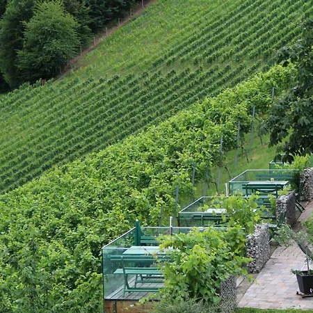 Weingut Sternat Vlg. Schmalzpeter بيت للعطل *