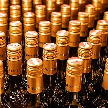 Weingut Sternat Vlg. Schmalzpeter بيت للعطل