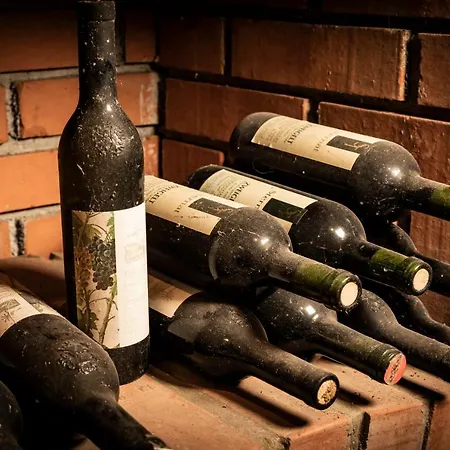 Weingut Sternat Vlg. Schmalzpeter Holiday home