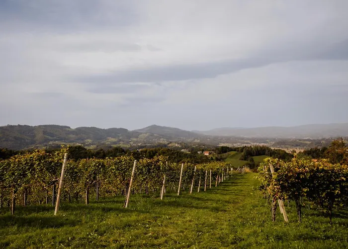 Weingut Sternat Vlg. Schmalzpeter بيت للعطل