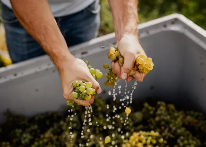 Weingut Sternat Vlg. Schmalzpeter بيت للعطل *