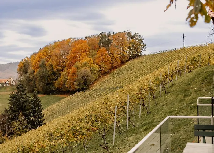 Weingut Sternat Vlg. Schmalzpeter بيت للعطل