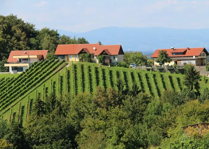 Weingut Sternat Vlg. Schmalzpeter Arnfels