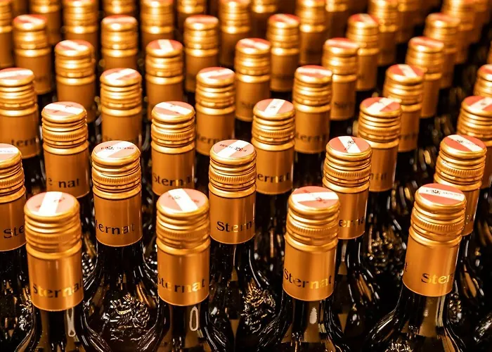 Weingut Sternat Vlg. Schmalzpeter Casa de Férias