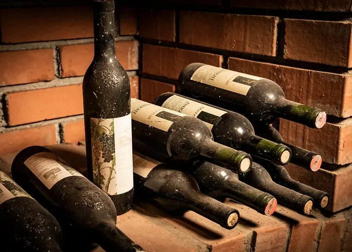 Weingut Sternat Vlg. Schmalzpeter بيت للعطل